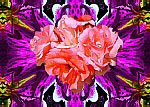 Digitales Blumenbild  > Rosenbukett <